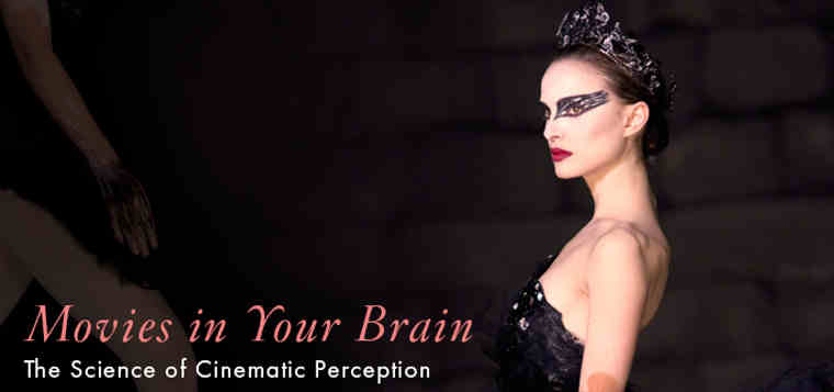 Movies in Your Brain: The Science of Cinematic Perception
