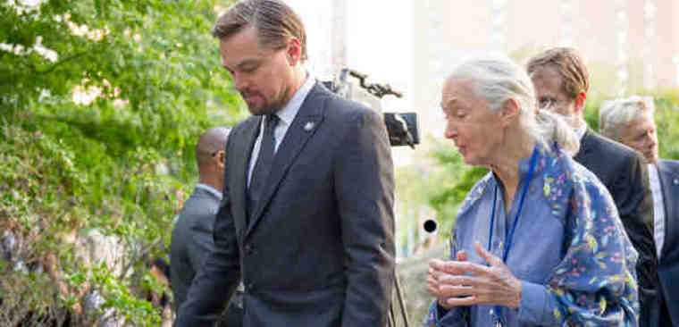 UN Messengers of Peace Leonardo DiCaprio and Jane Goodall at the annual Peace Bell Ceremony held at UN headquarters in observance of the International Day of Peace. UN Photo / Rick Bajornas