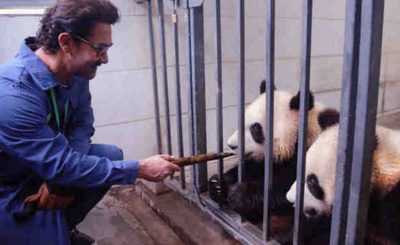 Bollywood Actor Aamir Khan Meets Giant Pandas in Sichuan (file photo)