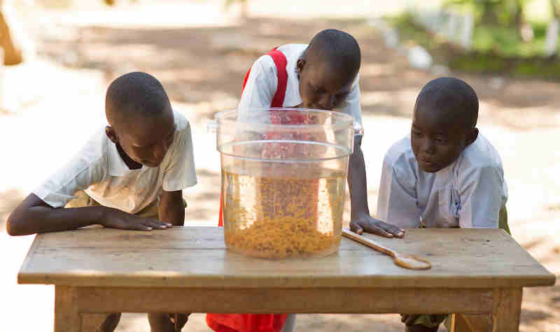 Water Crisis Awareness