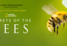 National Geographic to Launch “Secrets of the Bees” Featuring James Cameron and Bertie Gregory